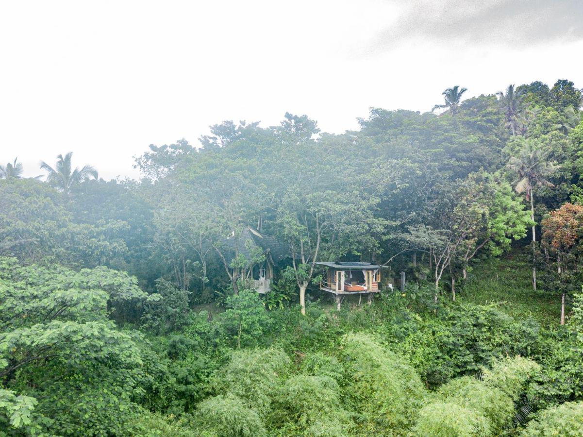 Bird Hills Bamboo House Villa Karangasem Exterior foto
